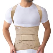 ΝΑΡΘΗΚΑΣ ΡΑΧΕΟΣΦΥΪΚΟΣ SPINE