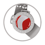 "SPARTAN" FEMOROTIBIAL BRACE FOR OSTEOARTHRITIS OF THE KNEE