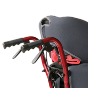 Children stroll wheelchair