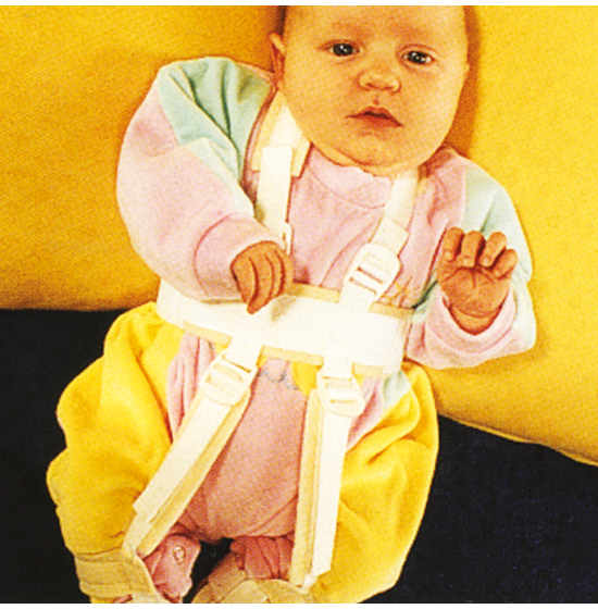 PAVLIK HARNESS T. BRACE