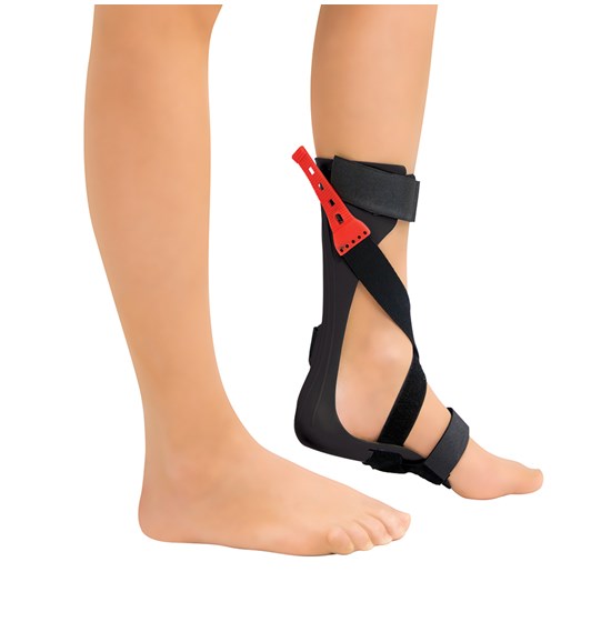 ΝΑΡΘΗΚΑΣ ΔΥΝΑΜΙΚΟΣ ΕΣΩ ΥΠΟΔΗΜΑΤΟΣ	